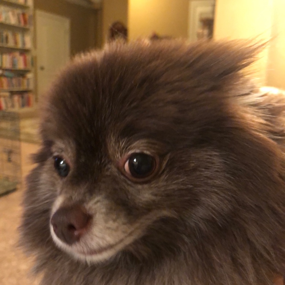 Meet your Posher, Nancy